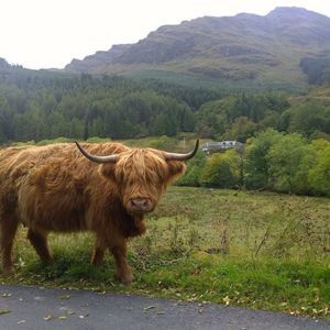 Meet your Posher, Jane